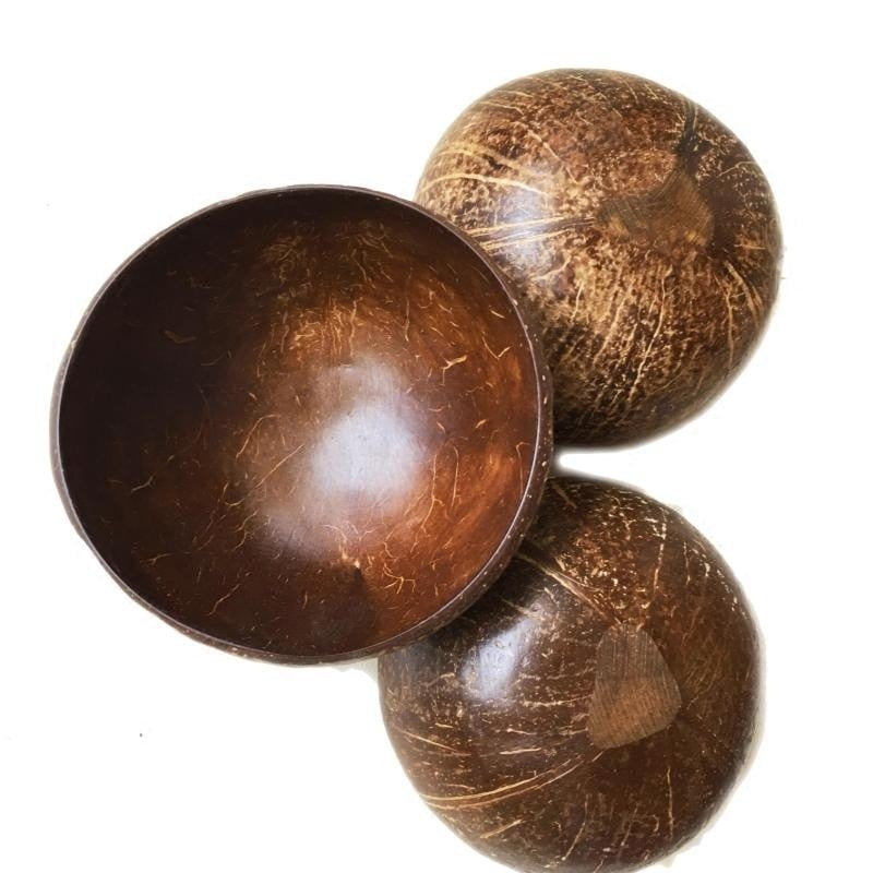Natural Coconut Bowl Set