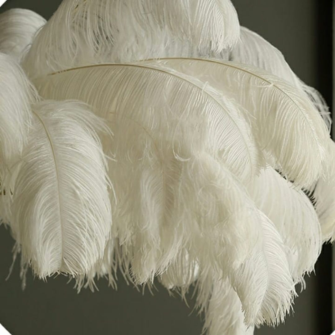 Feathers Decor