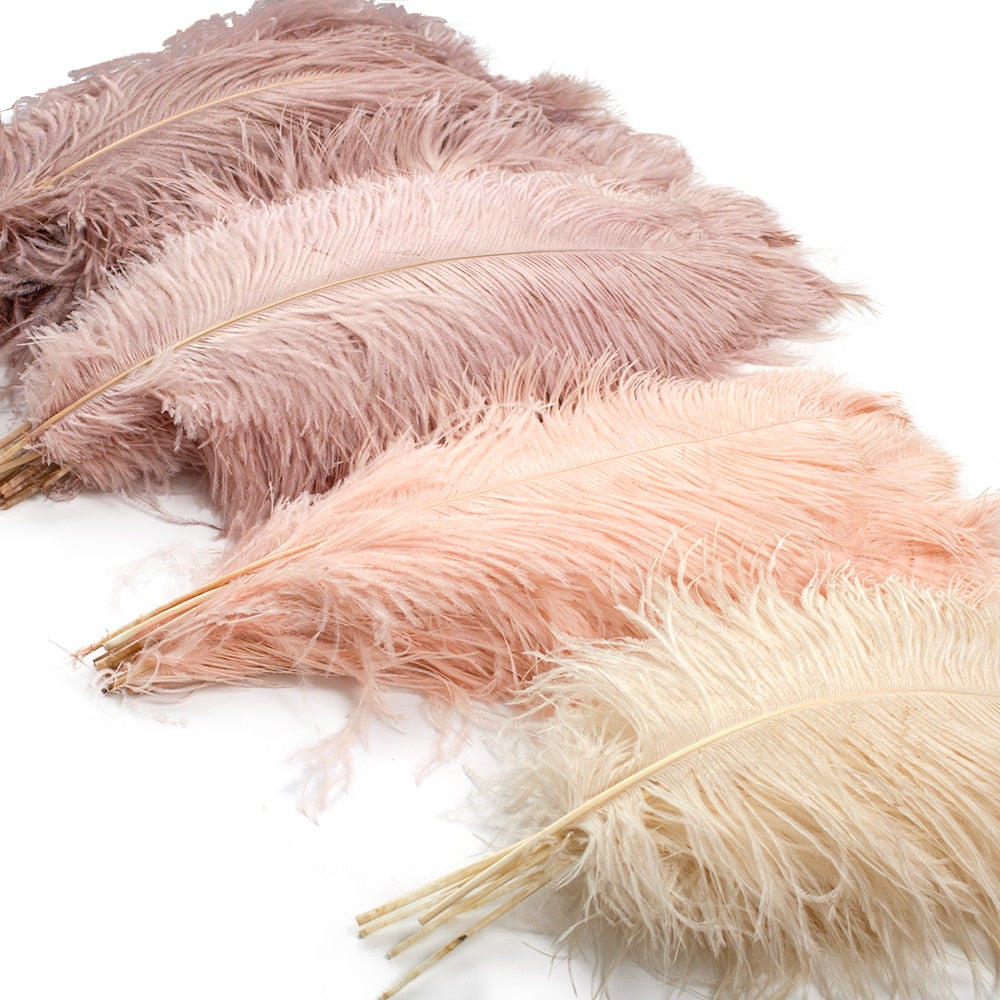Feathers Decor