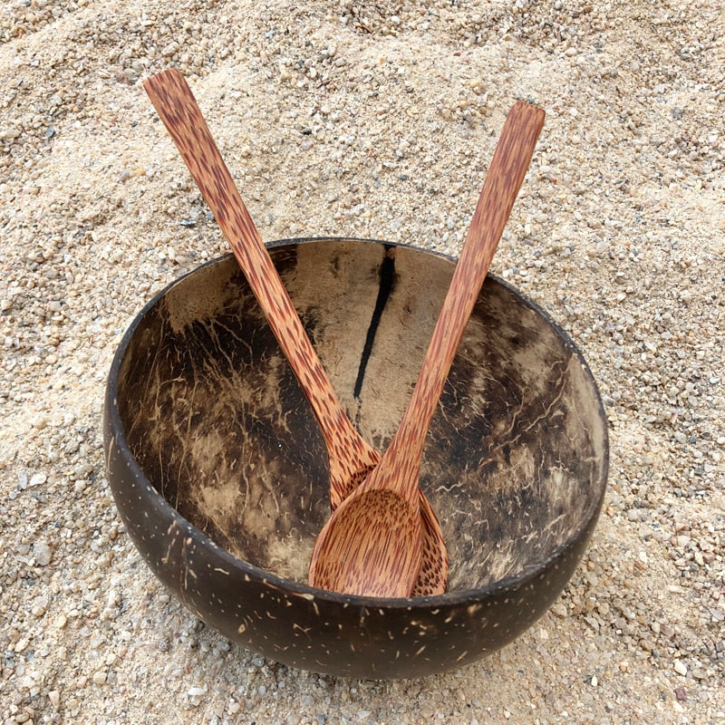 Natural Coconut Bowl Set