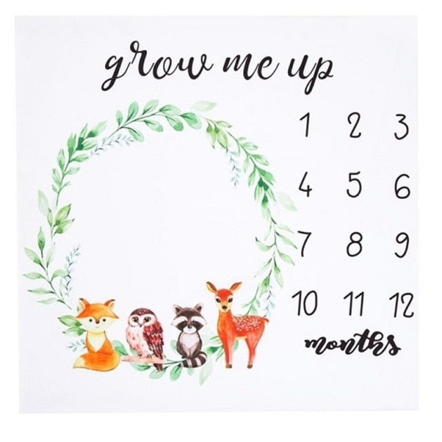 Baby Milestone Blanket