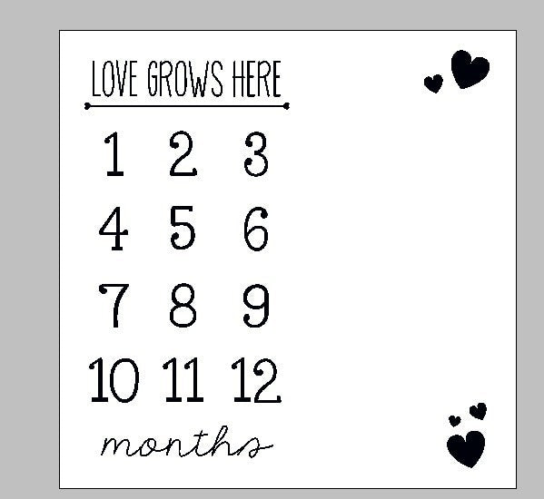 Baby Milestone Blanket