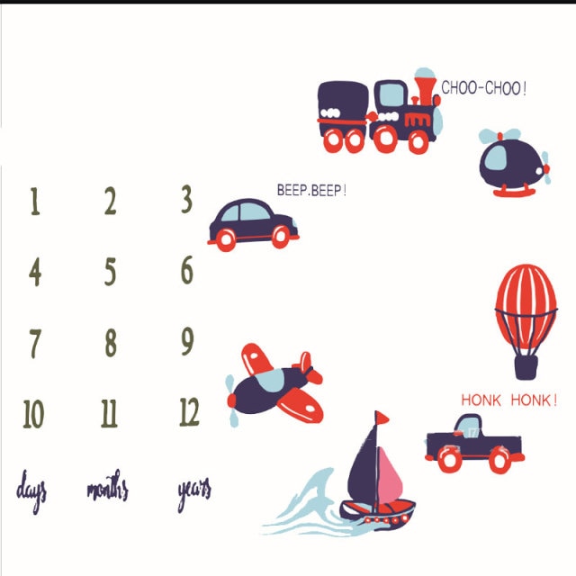 Baby Milestone Blanket